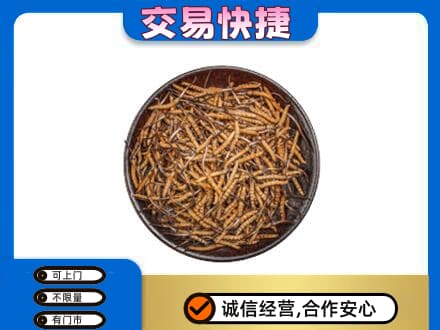 咸阳市武功高价回收散虫草